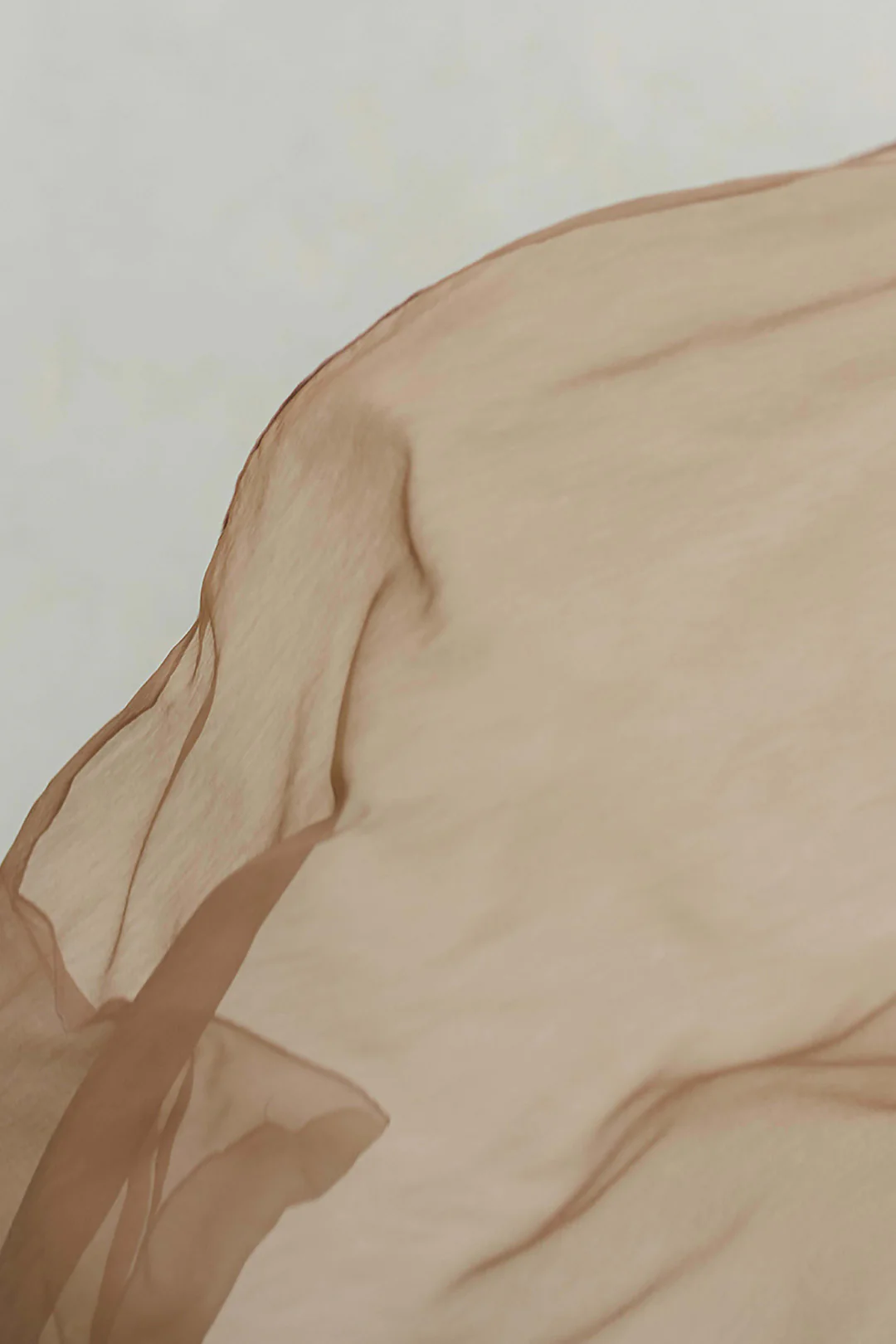 Dupatta - 2024 - Image 8